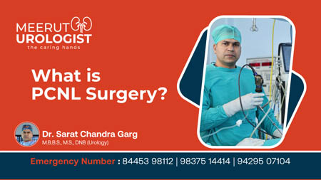 PCNL Surgery Video