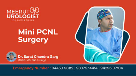 Mini PCNL Surgery Video