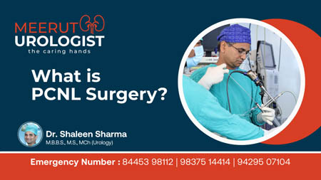 PCNL Surgery Explained by Dr. Shaleen Video