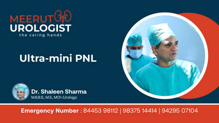 Ultra Mini PNL Surgery Video